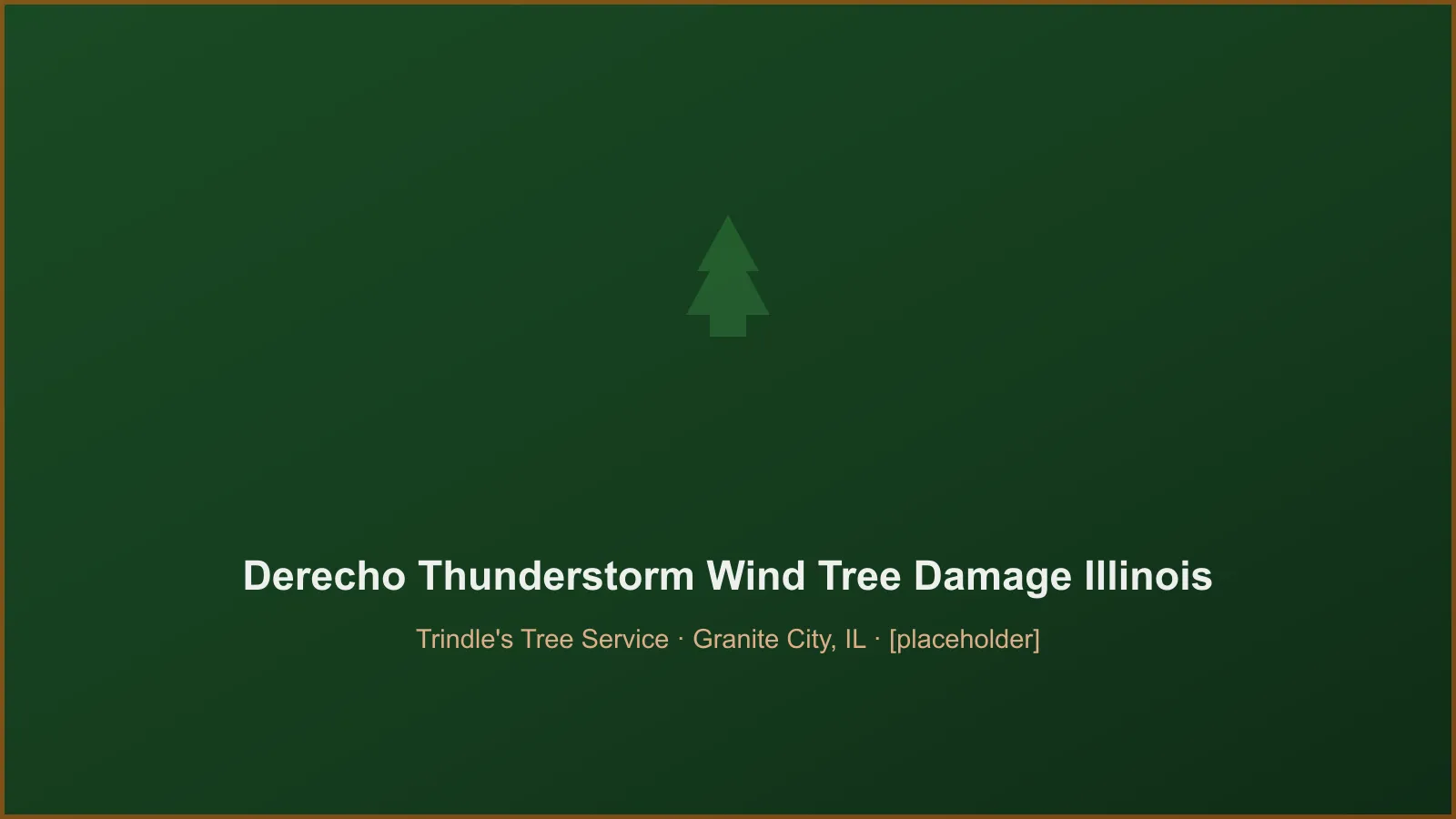 Trees toppled across a yard after a derecho windstorm in Illinois