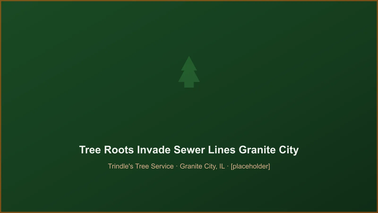 Tree roots infiltrating an old clay sewer pipe in a Granite City IL yard