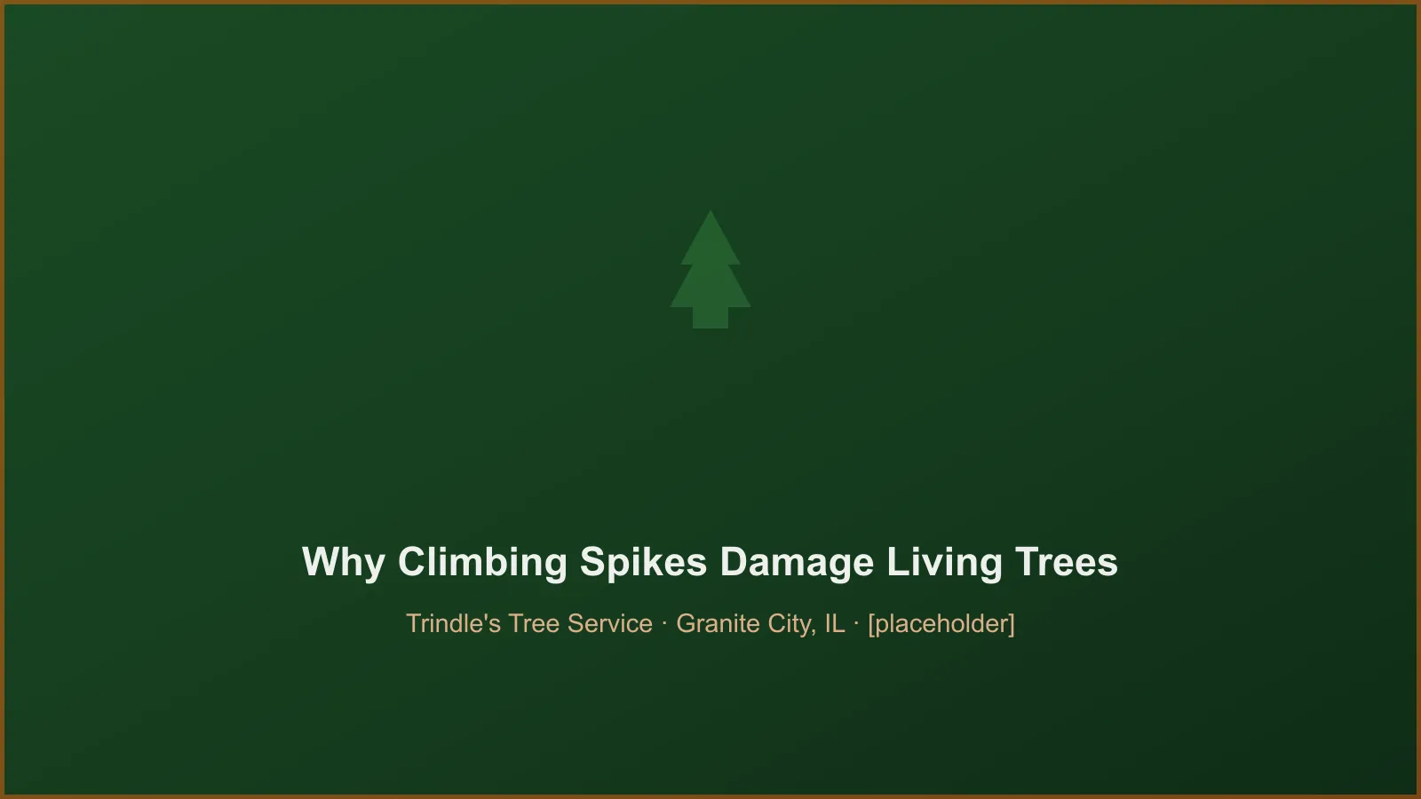 Climbing spike wounds on a living tree trunk showing bark damage in Illinois