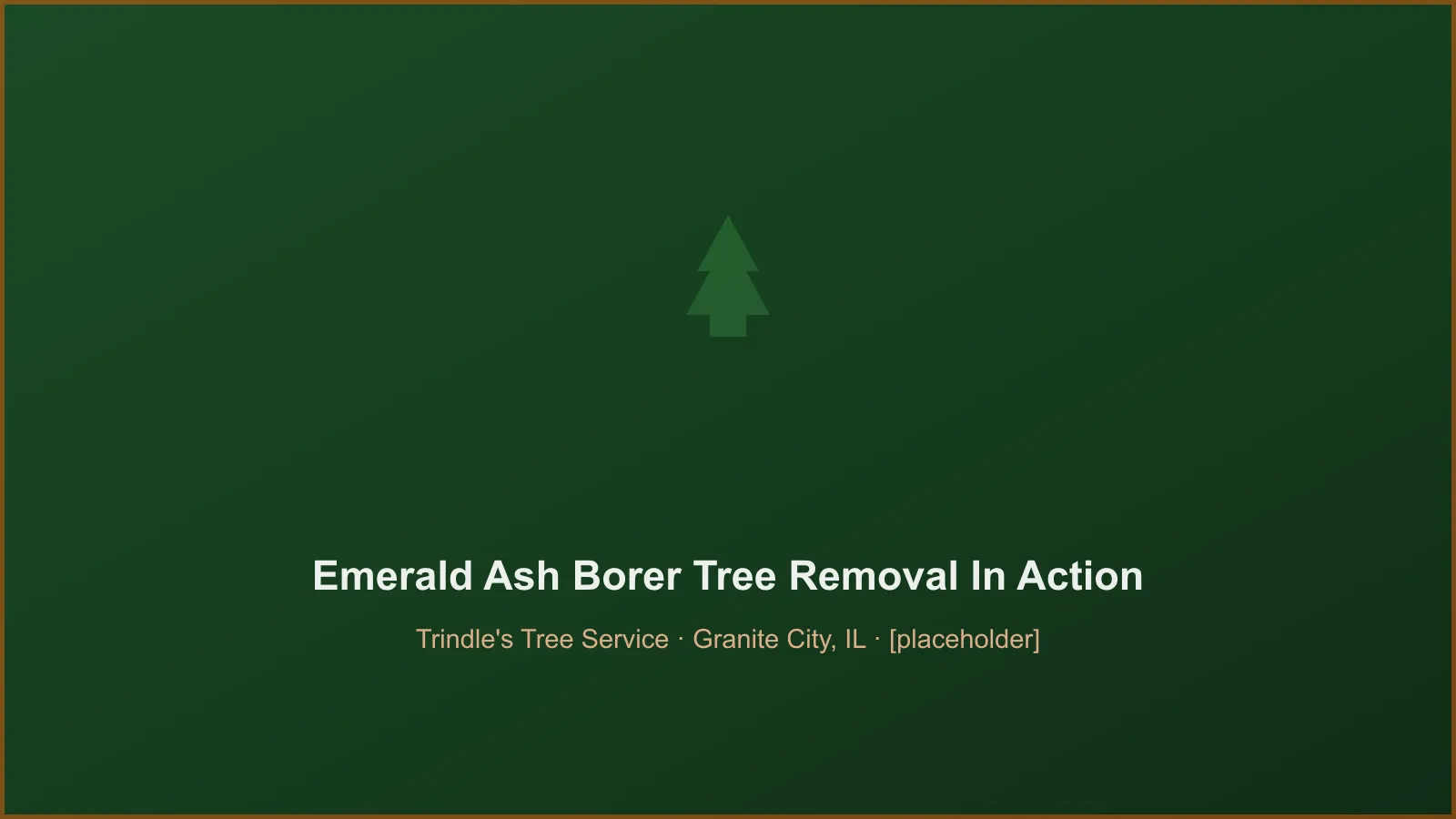Trindle's Tree Service crew performing emerald ash borer dead tree removal in Granite City, IL
