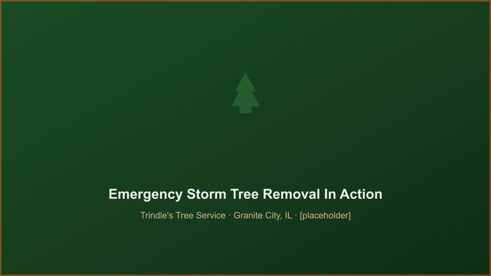 Trindle's Tree Service crew performing 24/7 emergency storm tree removal in Granite City, IL