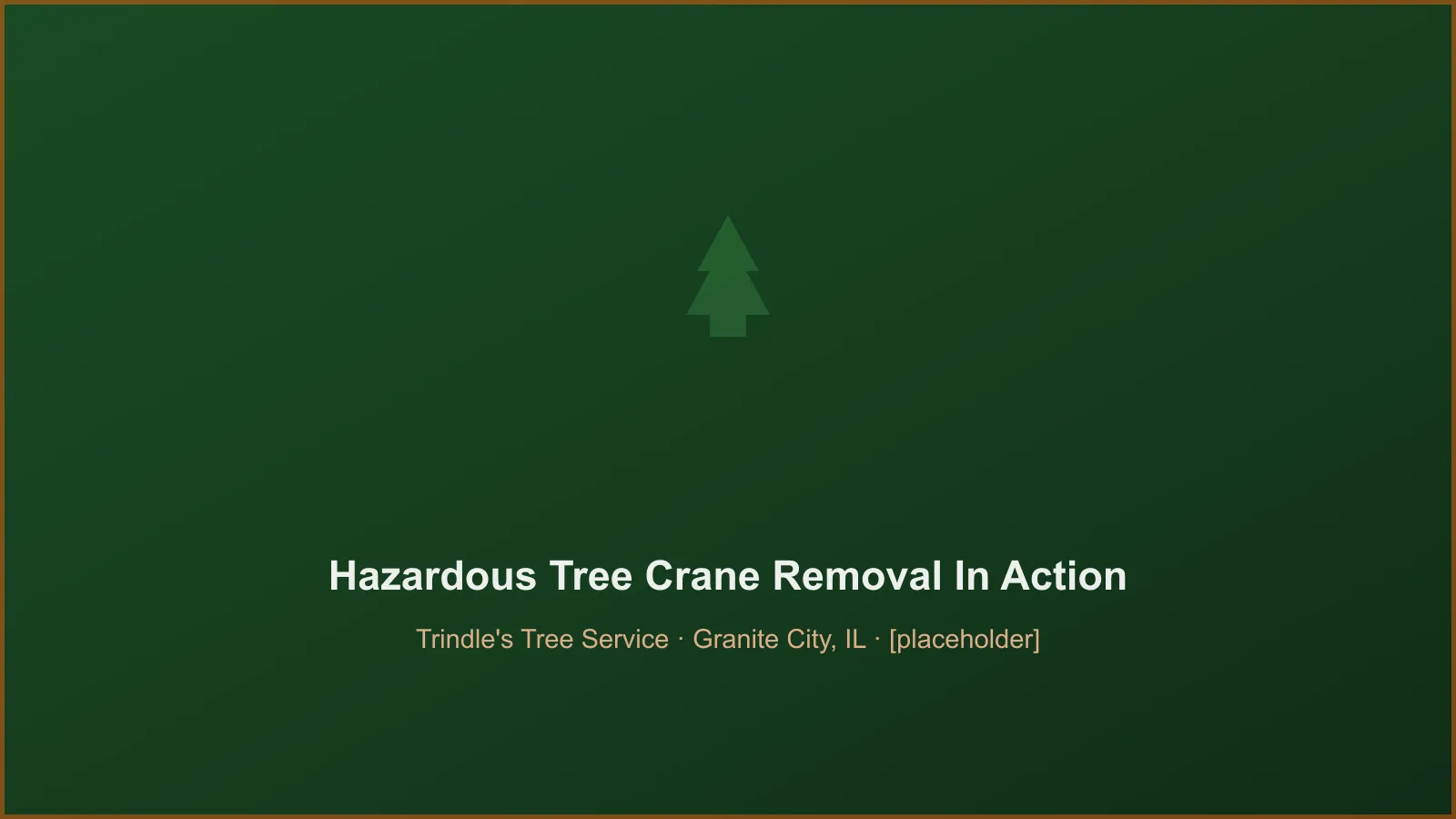 Trindle's Tree Service crew performing hazardous large tree crane takedowns in Granite City, IL