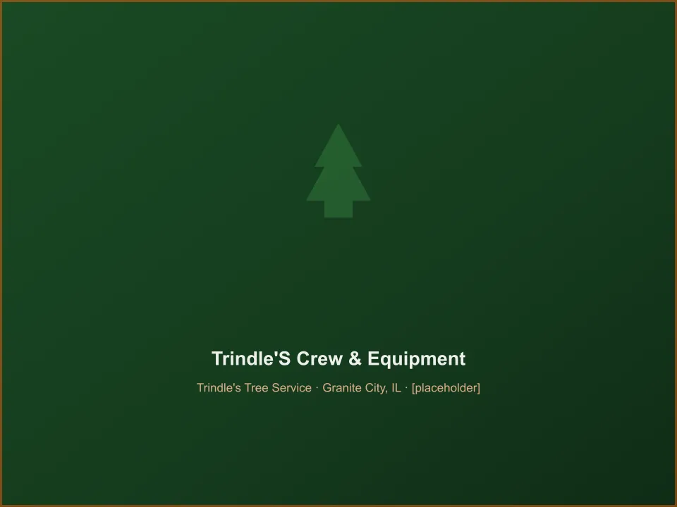 The Trindle's Tree Service crew with equipment in Granite City, IL