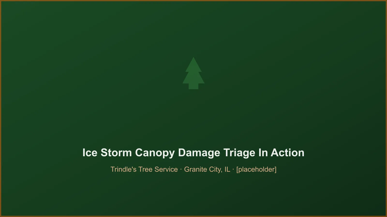 Trindle's Tree Service crew performing severe ice storm canopy damage triage in Granite City, IL