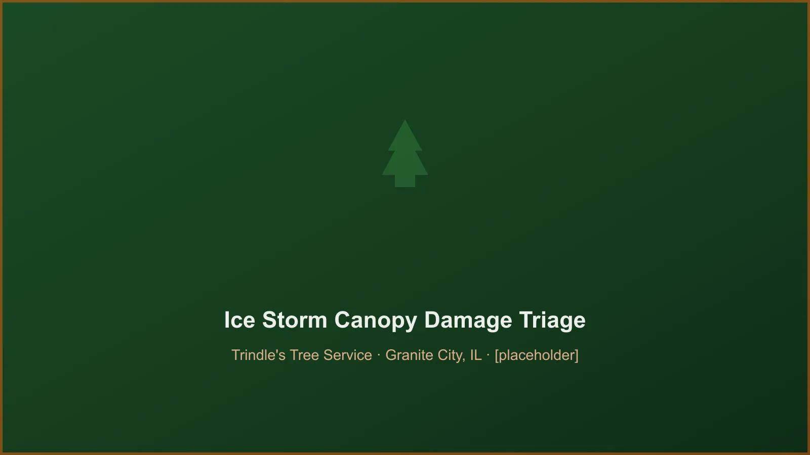 Ice-laden broken tree branches being cleared after a winter storm in Granite City IL