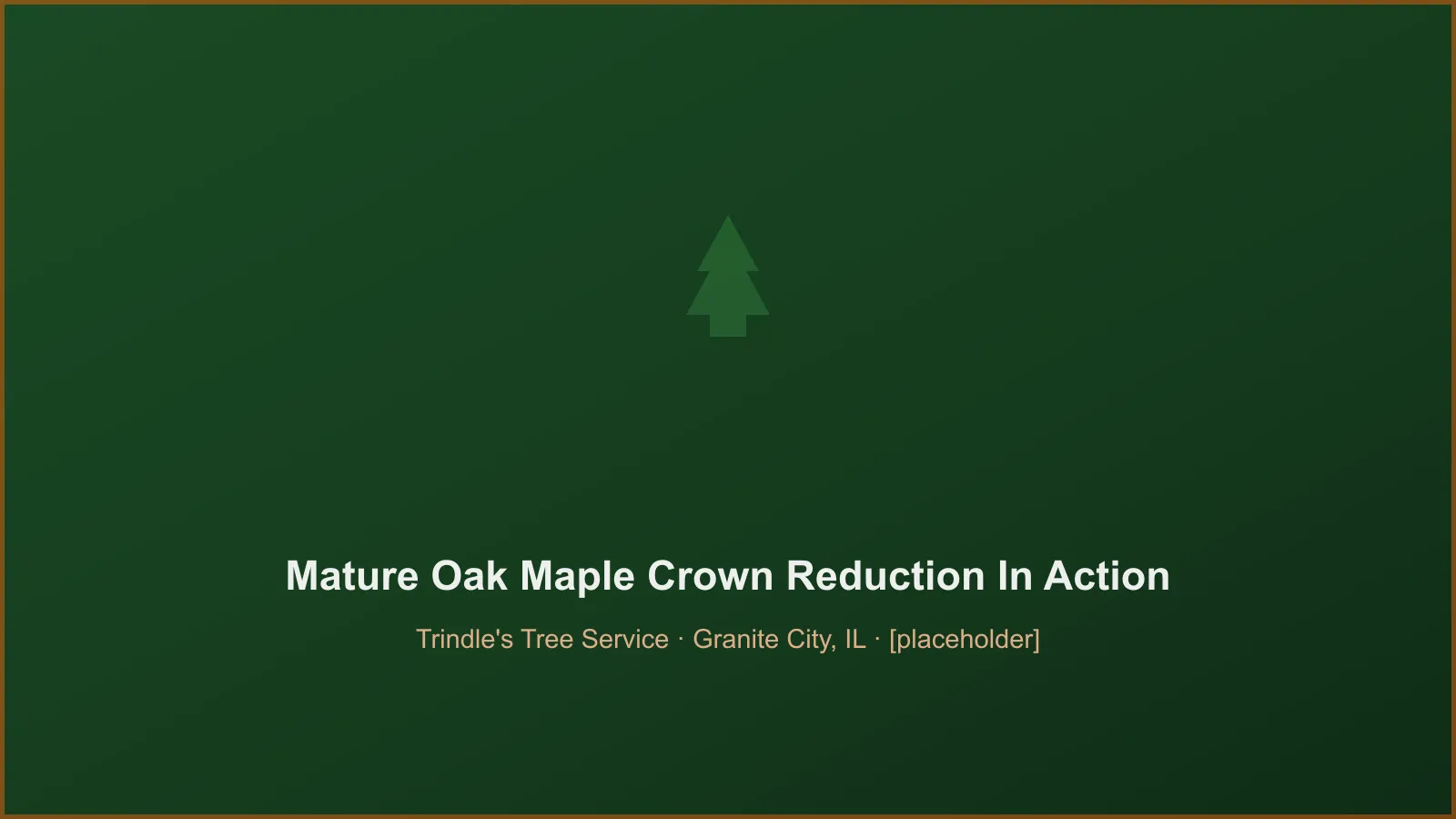 Trindle's Tree Service crew performing mature oak & maple crown reduction in Granite City, IL