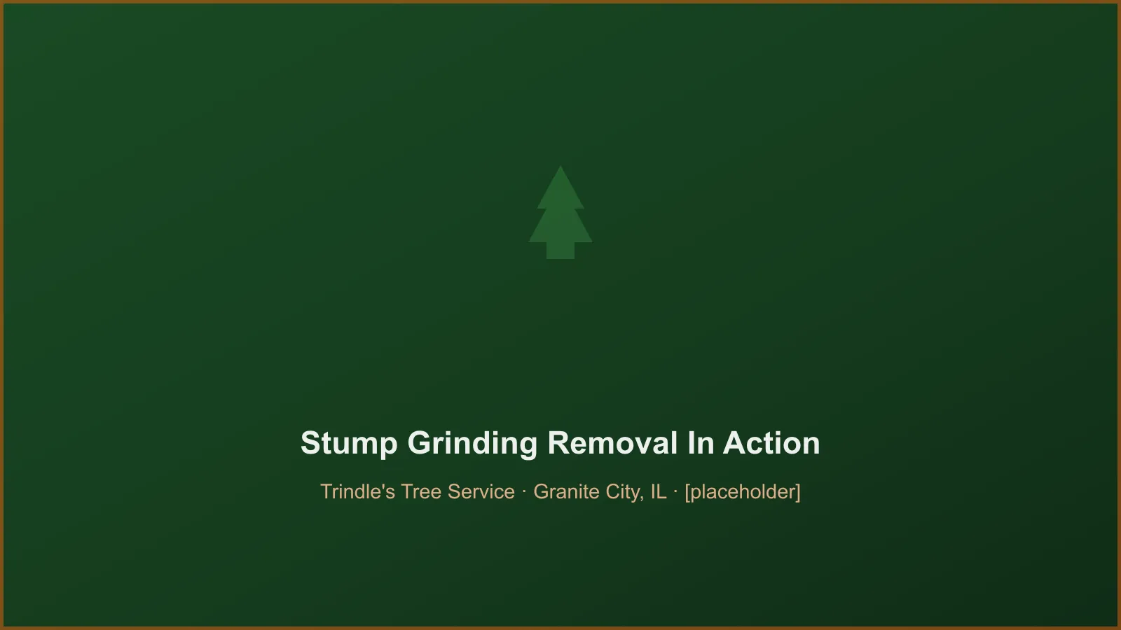 Trindle's Tree Service crew performing deep root stump grinding & removal in Granite City, IL