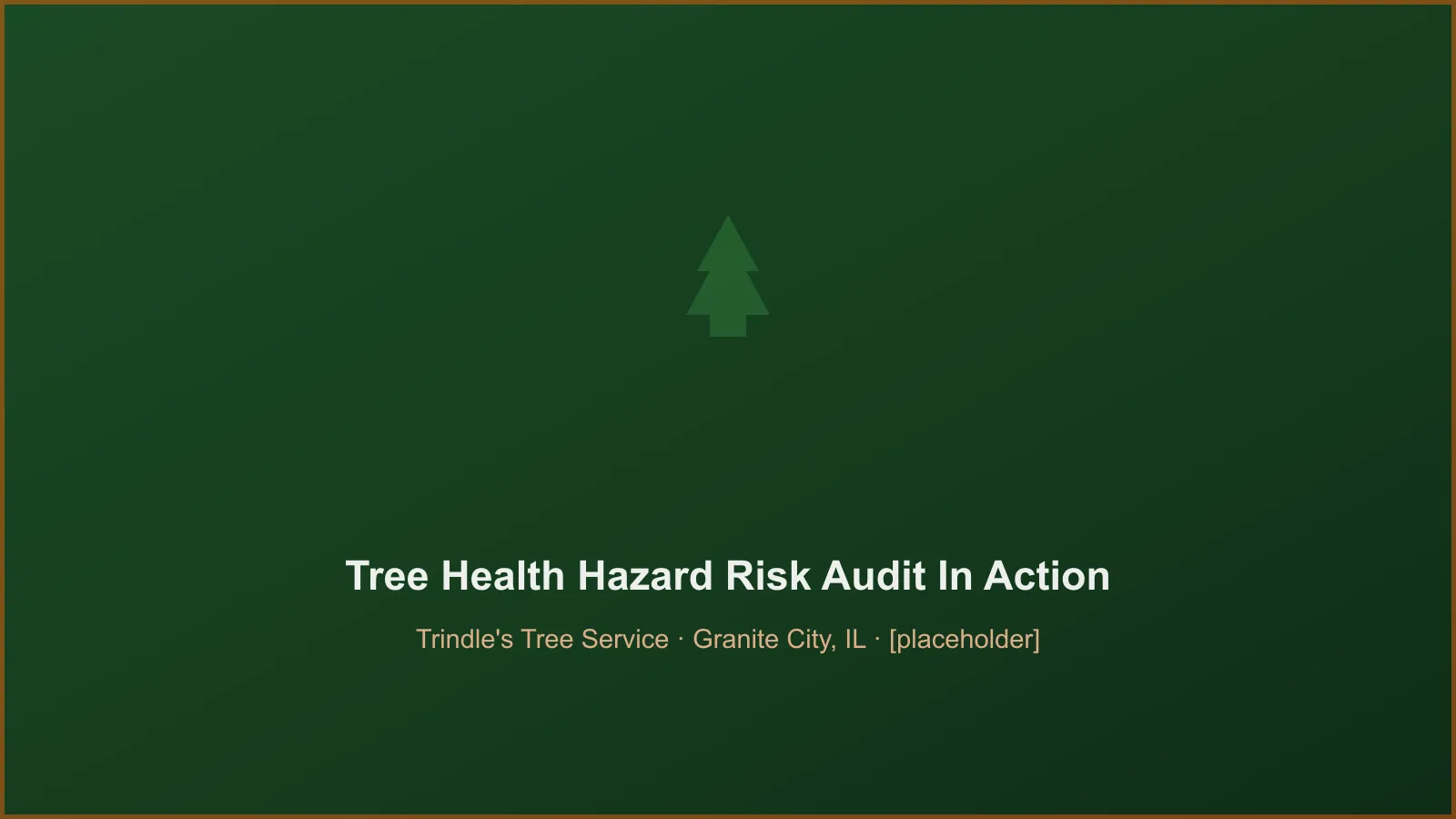 Trindle's Tree Service crew performing certified arborist tree health & hazard risk audits in Granite City, IL