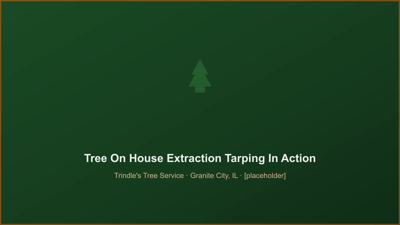 Trindle's Tree Service crew performing emergency tree-on-house extraction & tarping in Granite City, IL