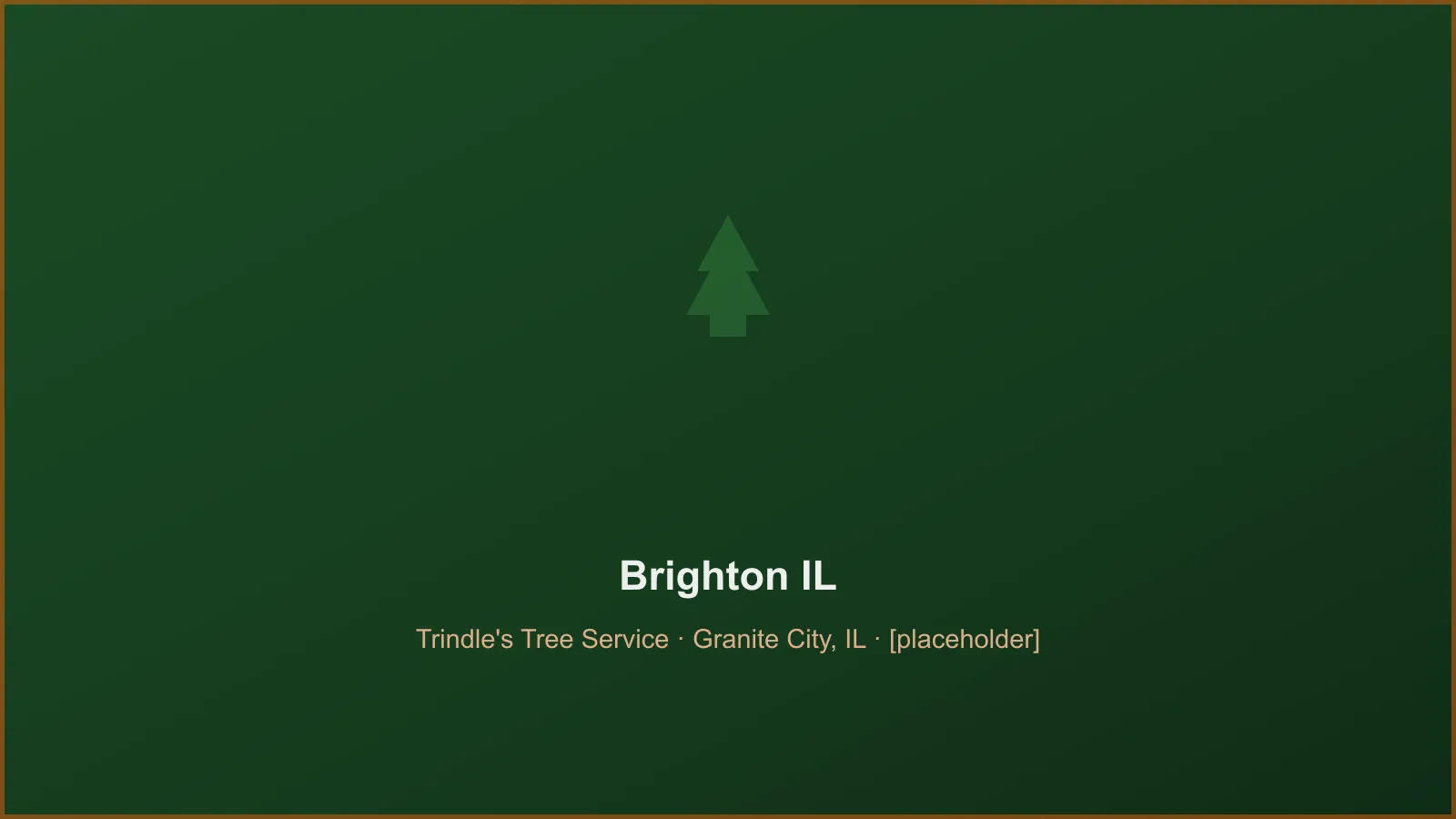 Trindle's Tree Service crew performing tree removal and crane takedown work in Brighton, IL