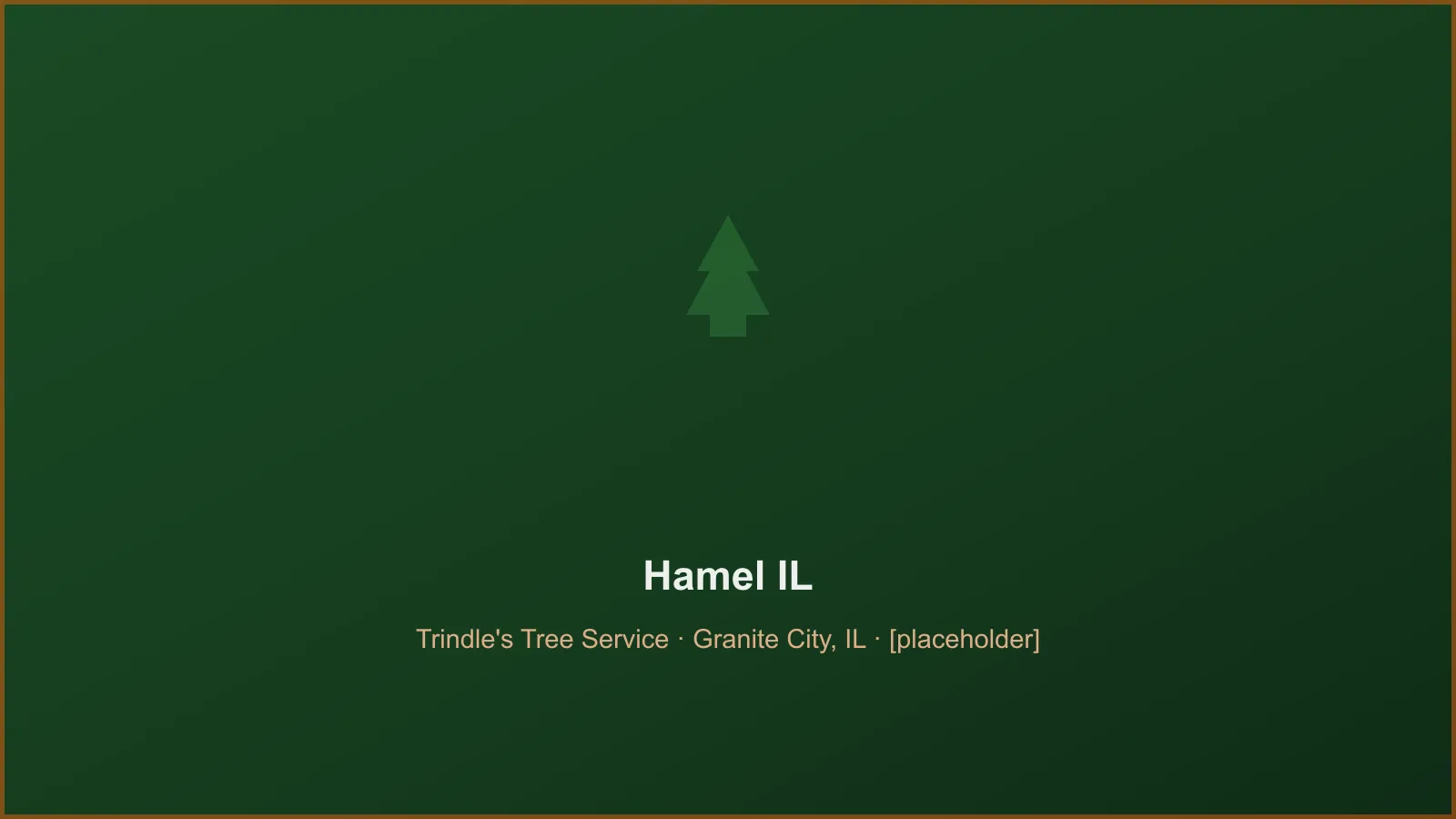 Trindle's Tree Service crew performing tree removal and crane takedown work in Hamel, IL