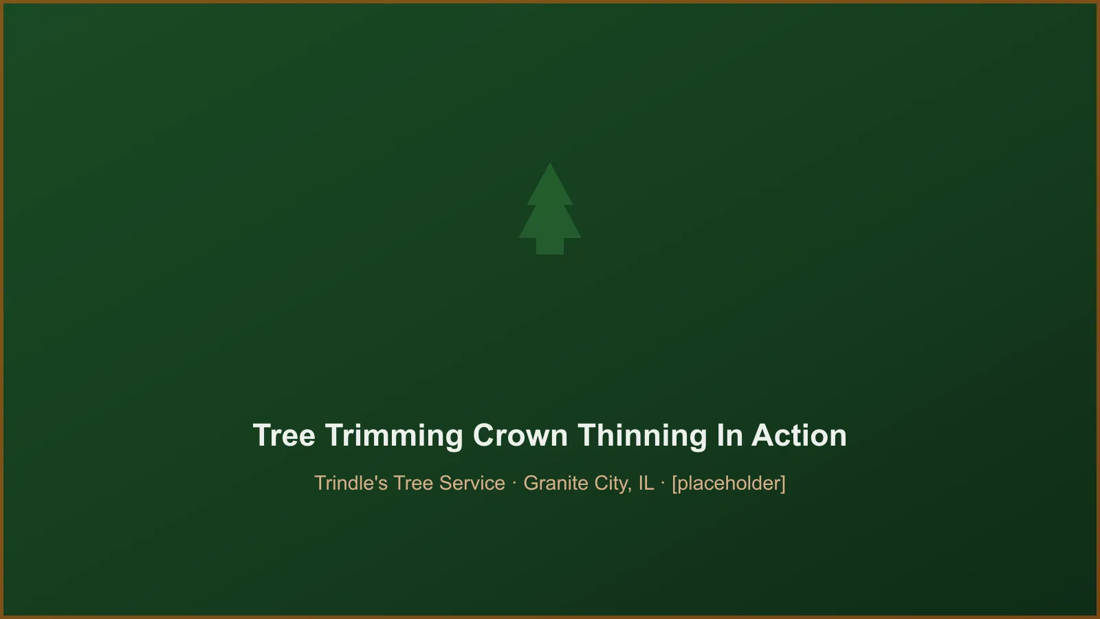 Trindle's Tree Service crew performing tree trimming & canopy crown thinning in Granite City, IL