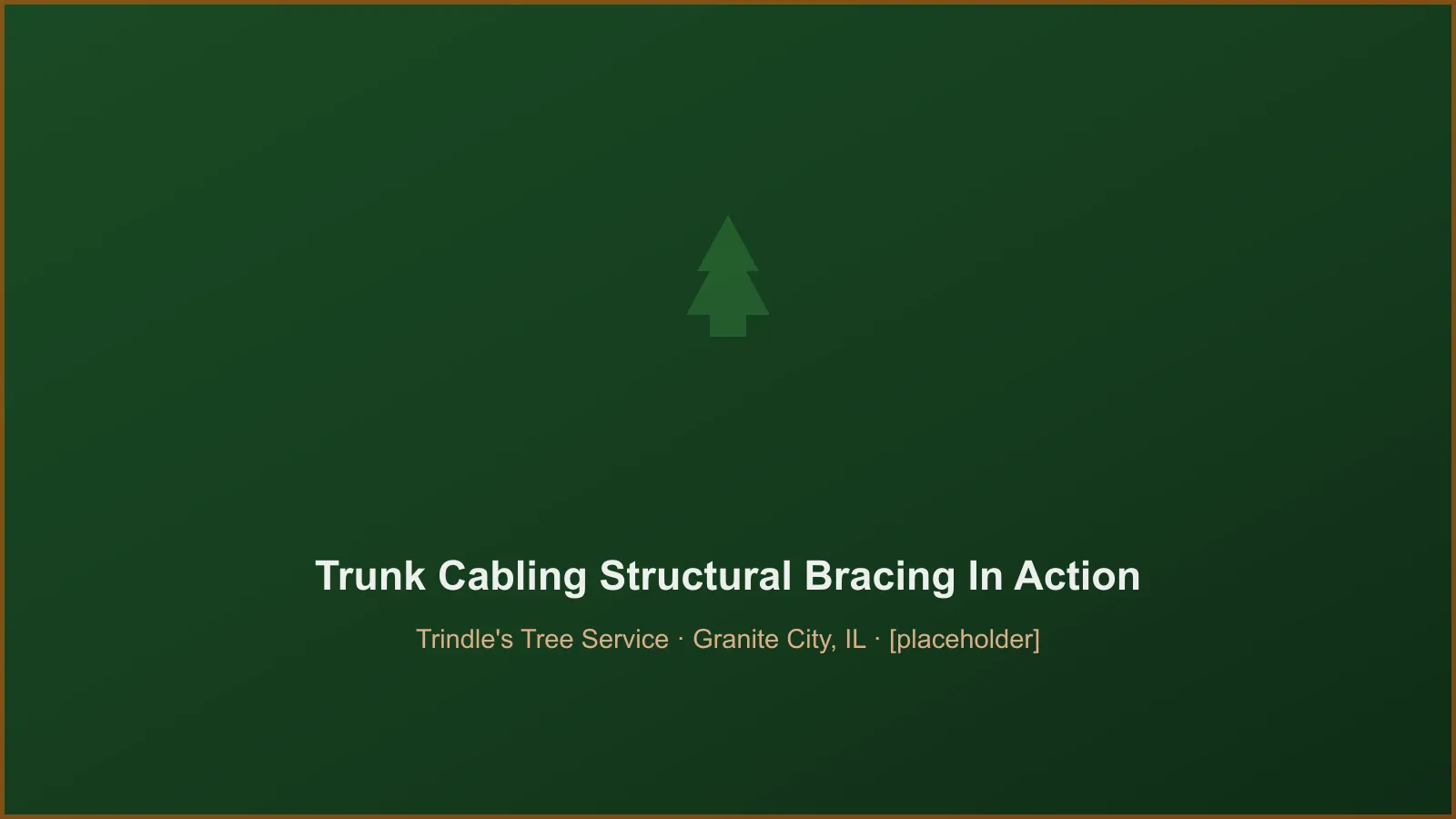 Trindle's Tree Service crew performing splintered trunk cabling & structural bracing in Granite City, IL