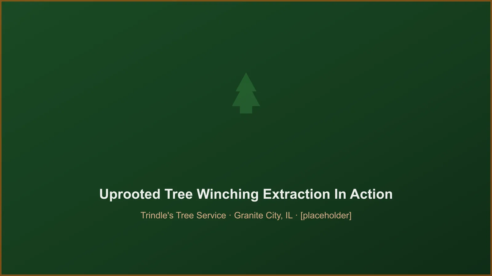 Trindle's Tree Service crew performing uprooted floodplain tree winching in Granite City, IL